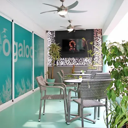Boogaloo - Adults Only Otel